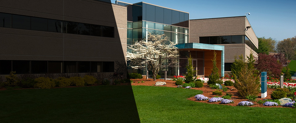 Elberta Landscapers