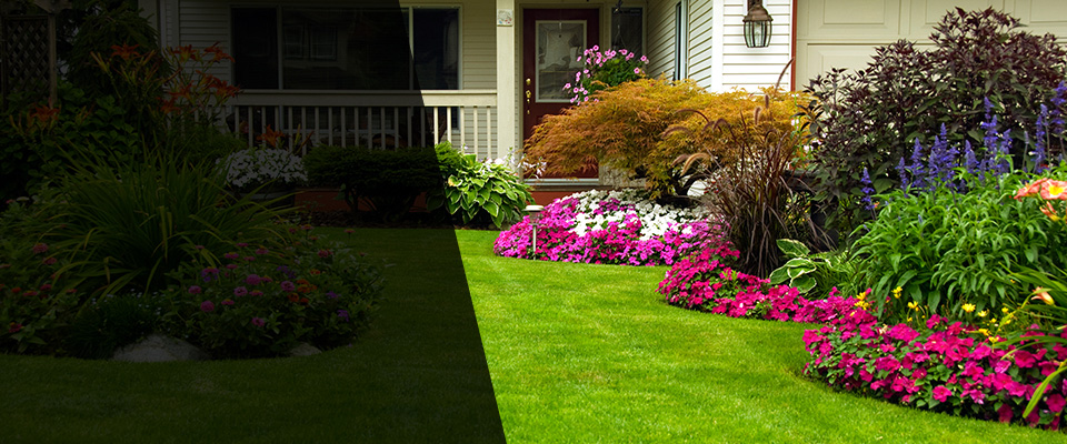 Elberta Landscapers