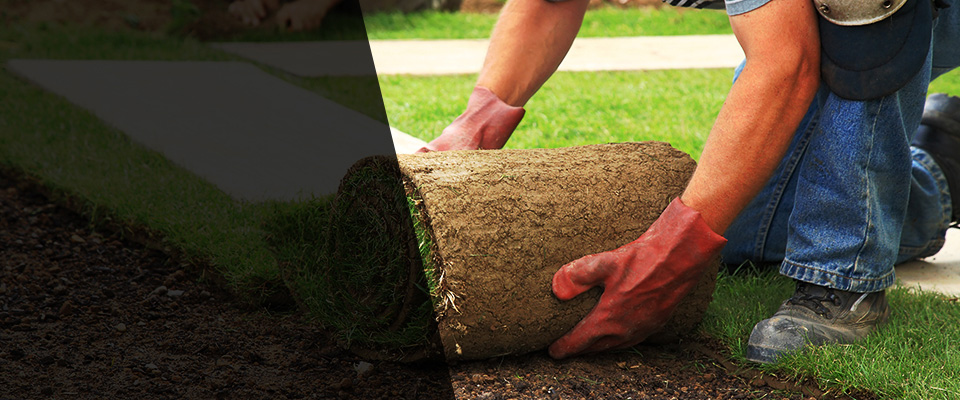 Elberta Landscapers